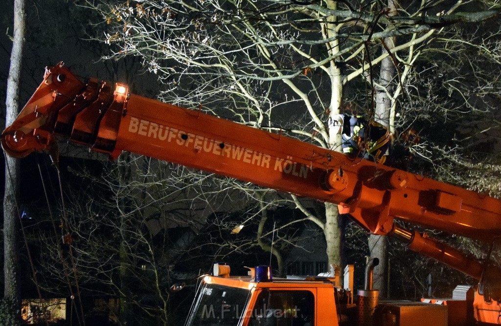 Container LKW umgestuerzt Koeln Brueck Bruecker- Dellbruecker Mauspfad P568.JPG - Miklos Laubert